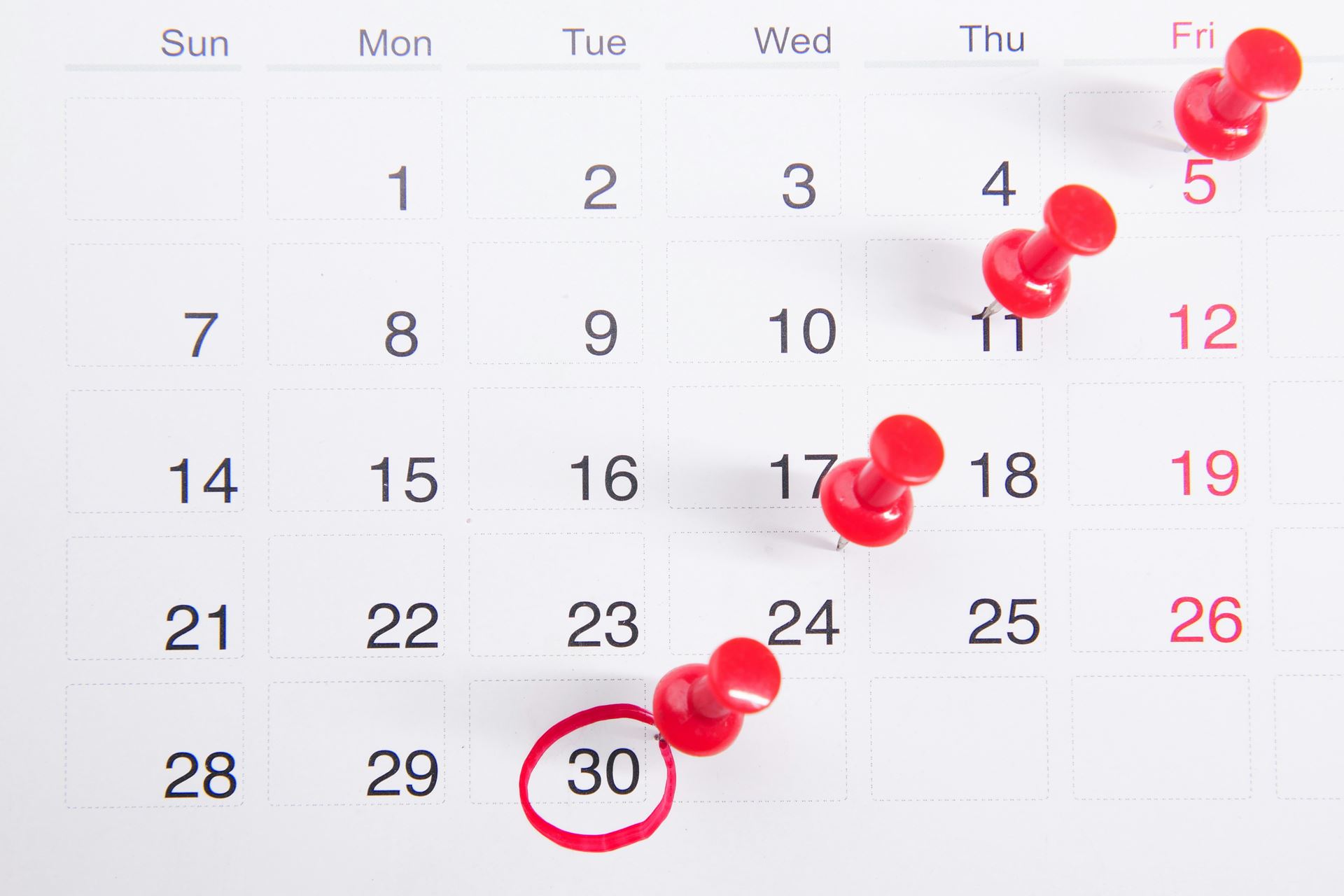calander